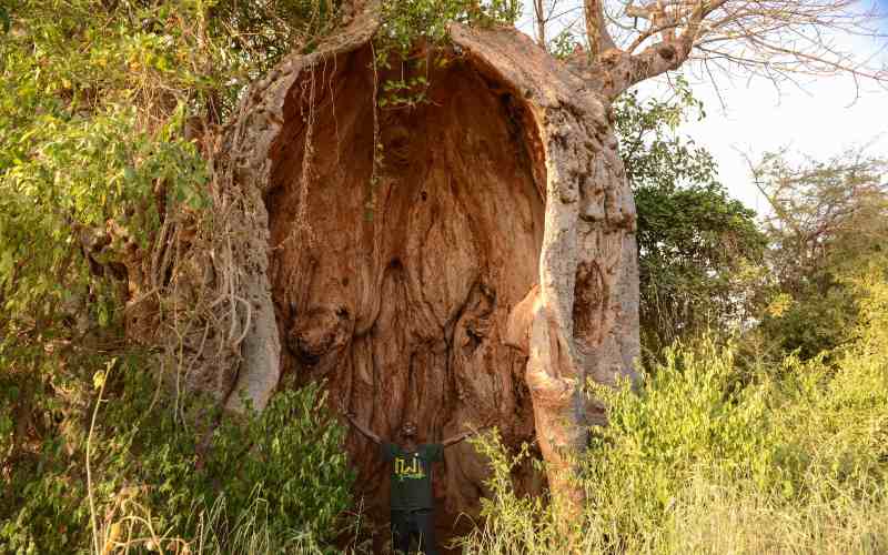 Have you visited Baobab tree Chapel in Kitui.