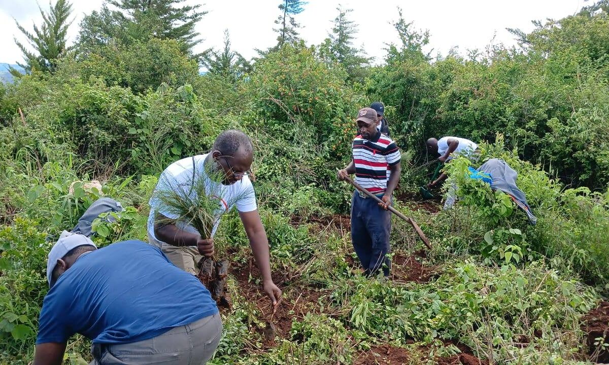 Isuzu East Africa leads tree plantinting exercise in Machakos.