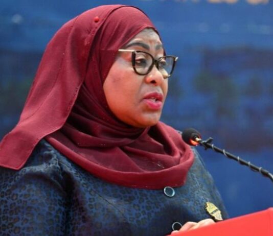 Samia Suluhu Questions Proposed Tanga Refinery Announcement