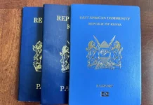 Kenyan Woman Caught in U.S. Immigration Scam Using Sister’s Documents