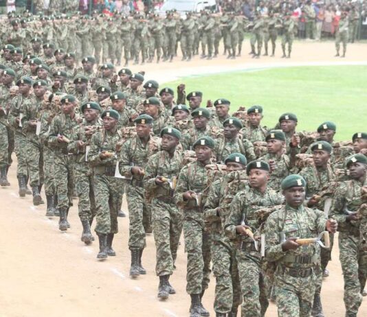Government Eyes NYS Commercialization Drive to Tackle Youth Unemployment