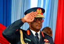 Fatal Helicopter Crash That Killed CDF Ogolla Traced to Sudden Engine Malfunction