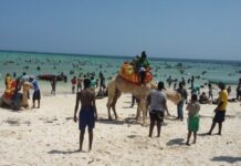 Coastal Authorities Prioritize Safety and Smooth Travel for Easter Tourists