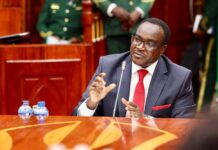 Education CS Ogamba Urges MPs to Support Uniform Hardship Allowance Policy