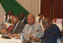 Accountants Push for Tax Reforms to Boost Investment and Household Incomes