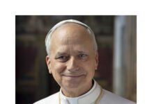 A New Chapter for the Vatican: Pope Leo XIV Steps Forward