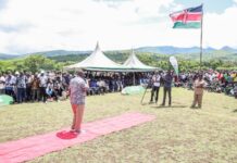 New Sports Hub to Fuel Dreams and Jobs in Suba-South