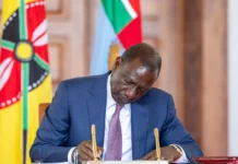 President Ruto Names Sitati Olando Acting Head of Government Delivery Unit