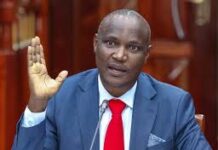 Kenya, IMF Set for Crucial Talks on Debt Strategy and Securitisation Policy