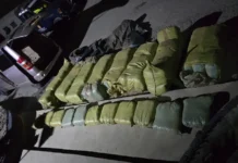 Major Bhang Bust on Naivasha Highway: Two Suspects Nabbed with 450kg Haul