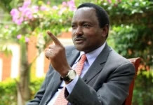 ‘Don’t dare sell Kenya Pipeline’ Kalonzo warns