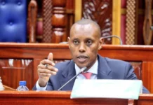 Koech Calls for Harsher Police Response to Violent Protests, Including Use of Lethal Force