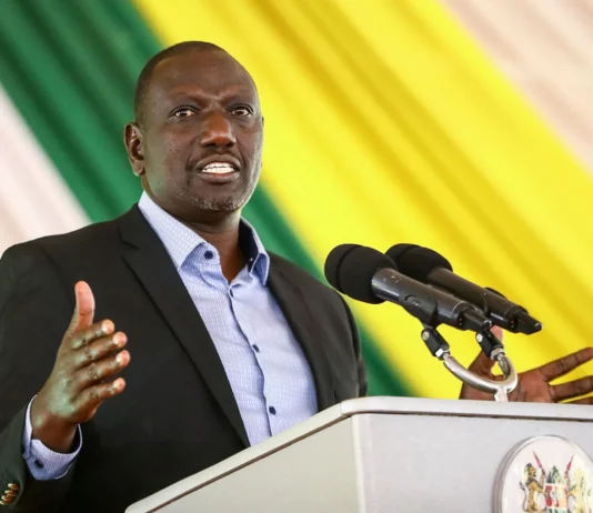 Ruto Orders Two-Year Business Permit Waiver for NYOTA Youth Entrepreneurs