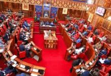 Senators Demand Action on Inclusivity Gaps at KNBS, Give Director Seven Days
