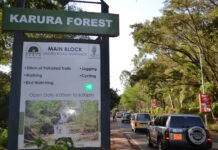 Karura Forest Goes Cashless as e-Citizen Takes Over Payments