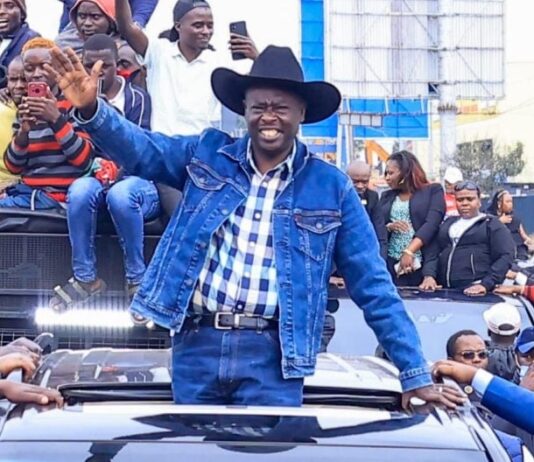 Former DP Wants Anti-Ruto Parties to Form ‘Hyena Coalition’