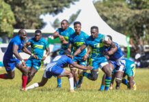 KCB RFC Ready to Roar at the Prinsloo Sevens this Weekend.