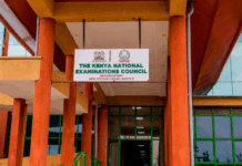 KNEC Sets Deadline for Talented Learners’ Nomination into Arts and Sports Pathway