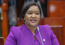 Free Access to Kenya’s Parks on World Tourism Day