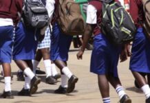 Over 50,000 Ghost Students Uncovered in Secondary Schools