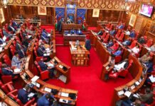 Busia Residents Demand Better Sports Facilities as Senate Mashinani Kicks Off