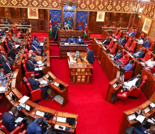 Busia Residents Demand Better Sports Facilities as Senate Mashinani Kicks Off