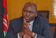 Schools to Lead Nation in Mazingira Day Fruit Tree Planting Drive