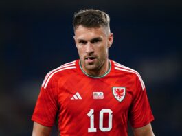 Aaron Ramsey Raises Reward in Search for Missing Dog in Mexico