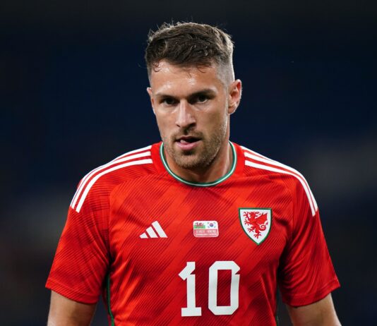 Aaron Ramsey Raises Reward in Search for Missing Dog in Mexico