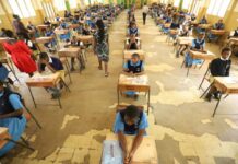 Nationwide KPSEA and First-Ever KJSEA Exams Kick Off as Over 2.4 Million Learners Sit Assessments