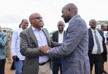 GOVERNMENT TO OPERATIONALIZE MORE ADMINISTRATIVE UNITS TO DECENTRALISE SERVICES