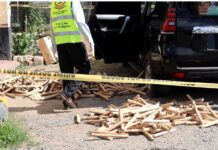 High-Speed Chase in Machakos as Detectives Seize Prado Carrying KSh14.2M bhang