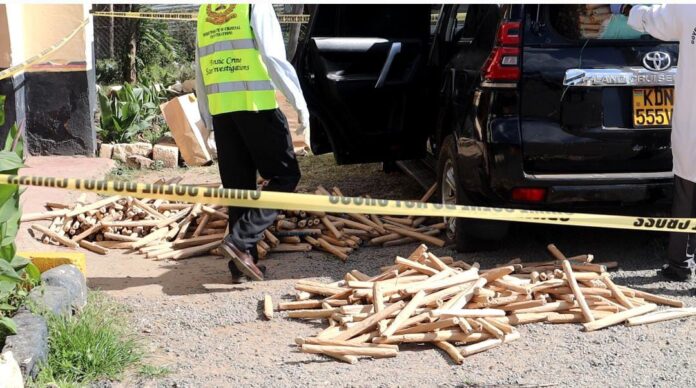 WhatsApp Image 2025-12-02 at 08.31.47 (1)