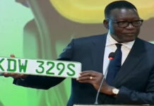 Kenya Rolls Out Green Number Plates to Mark Shift to Electric Mobility
