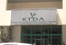 Rising Fuel Costs Set to Hit Tea Farmers’ Earnings, KTDA Warns