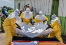 Ebola Surveillance Expands in DRC as Suspected Cases Rise Above 900