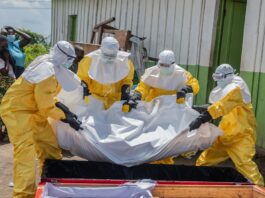 Ebola Surveillance Expands in DRC as Suspected Cases Rise Above 900