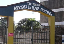 Government Opposes Bid to Halt Imenti Forest Airstrip Project
