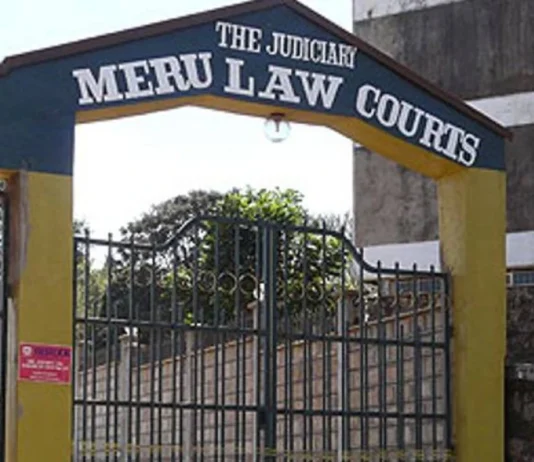 Government Opposes Bid to Halt Imenti Forest Airstrip Project