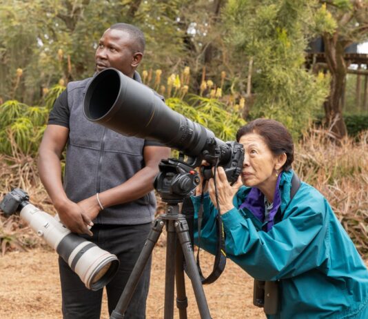 Kakuzi birdwatching tour ends in triumph as Japanese royalty sights rare migratory birds