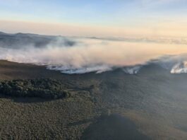 Mt Kenya Blaze 85% Contained After Burning 3,000 Hectares