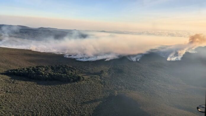 mt-kenya-fire-2